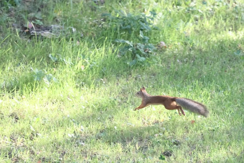 Эргопарк в Клинике Института Мозга